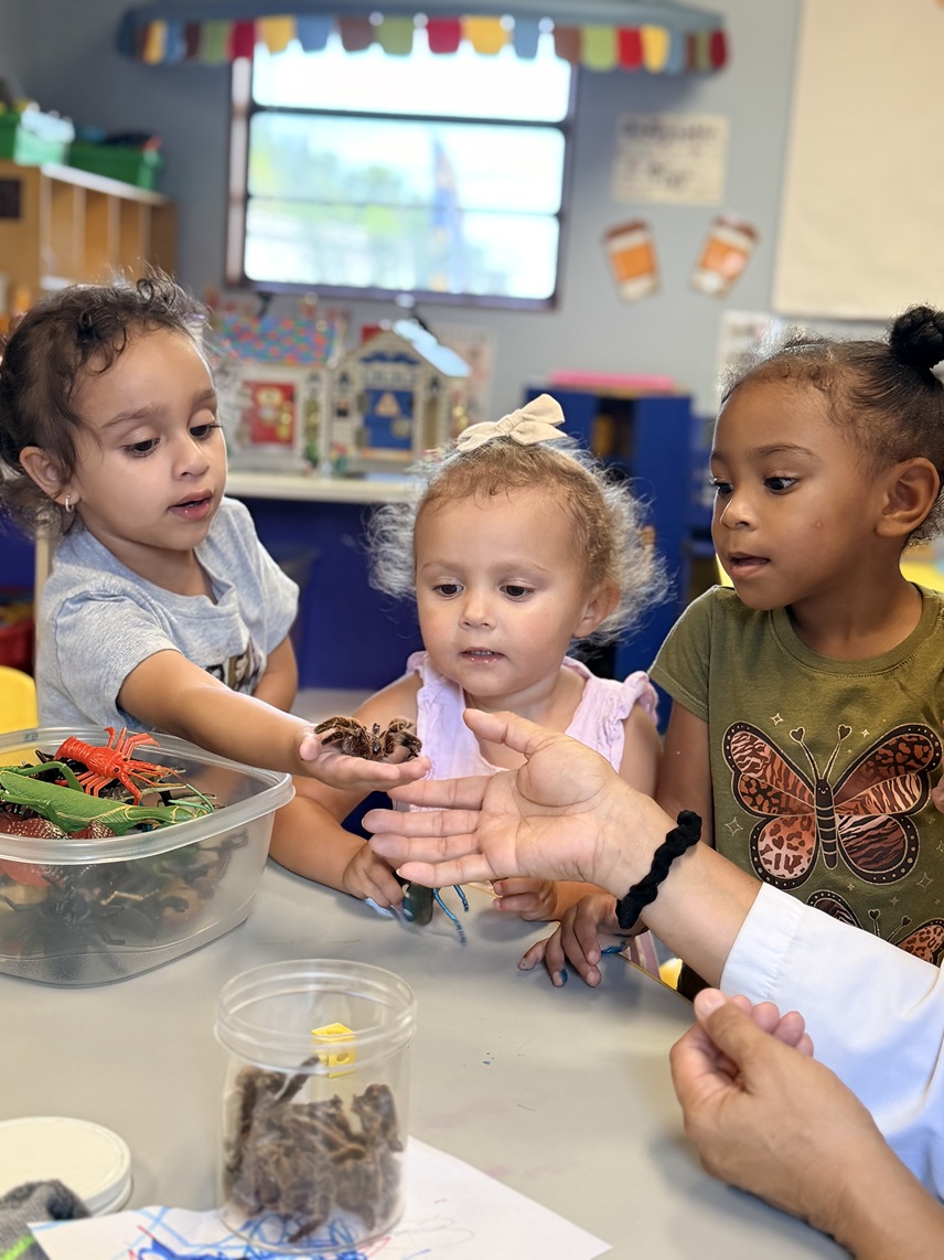 valentina, amelia, noli looking at spider