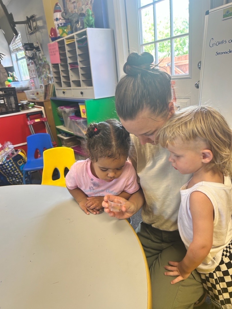 spencer, wyatt, layla, looking at worm